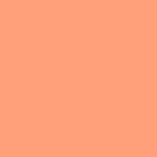 Salmon Salmon