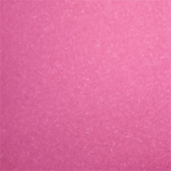 Rosa Rosa