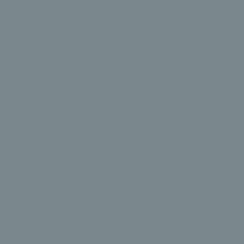 Gris Brilloso Gris Brilloso