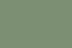 Verde Claro Verde Claro