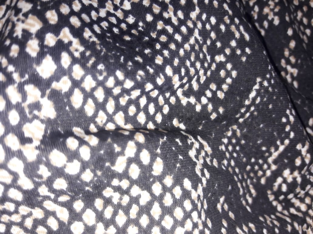 Reptil Reptil