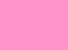 Rosa #4006 Rosa #4006