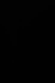 Negro #8010 Negro #8010